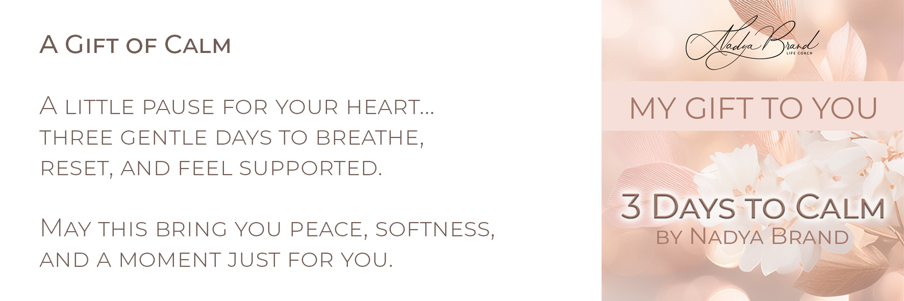 3 Days to Calm - Image 6
